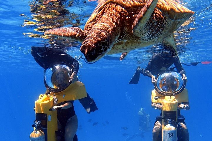 Oahu: Submarine Scooter Adventure, photo 6 of 6