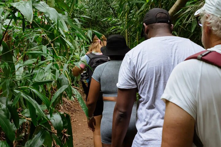 Hike to a Tropical Waterfall with Pickup, photo 10 of 10