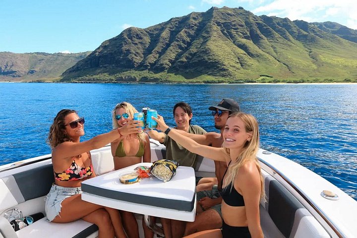 Swim With Dolphins and Turtles in West Oahu (Semi-Private Tours), photo 6 of 10