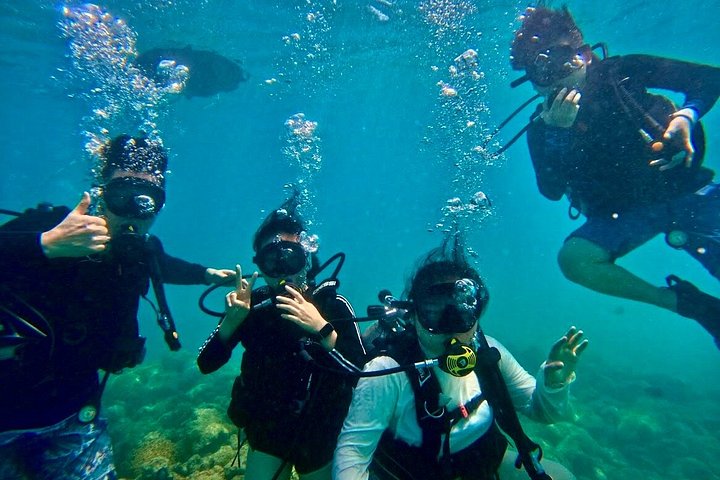 Beginner Scuba Diving Tour in Honolulu with Free Videos, photo 2 of 10