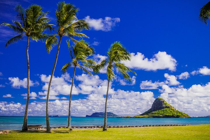 Oahu Majestic Circle Island Tour with Waimea Falls and Byodo-In, photo 4 of 10