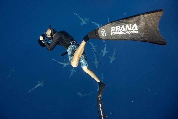 Dive with Sharks in Hawaii: Shark Tour from Haleiwa, photo 7 of 10