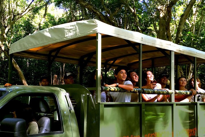 Kualoa Ranch: Jungle Expedition Tour, photo 3 of 10