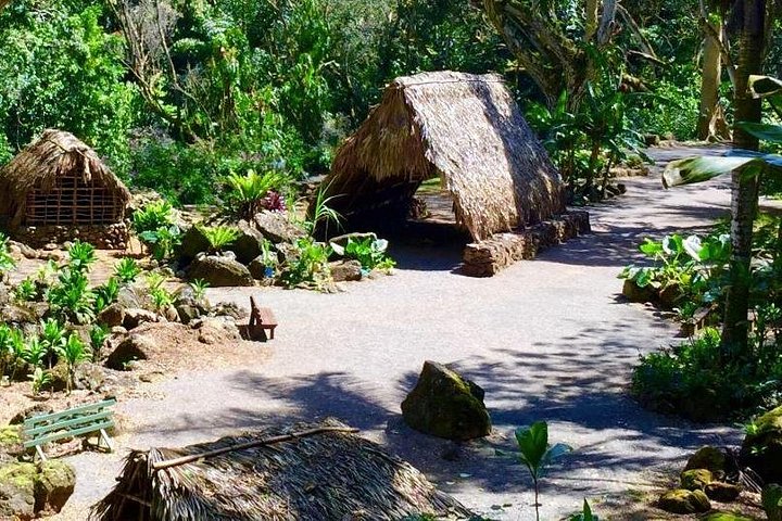 Oahu Majestic Circle Island Tour with Waimea Falls and Byodo-In, photo 7 of 10