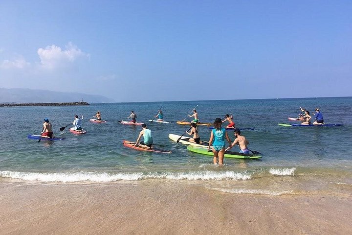 Group Stand Up Paddle Lesson and Tour, photo 2 of 10