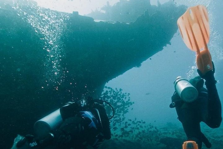 Certified Diver: 2-Tank Deep Wreck and Shallow Reef Dive off Oahu, photo 6 of 10