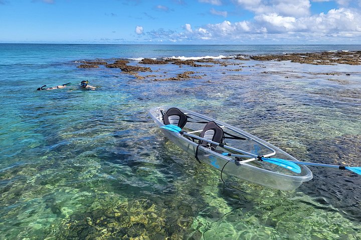 Clear-Bottom Kayak Tour, Guaranteed to See Turtles, photo 3 of 10