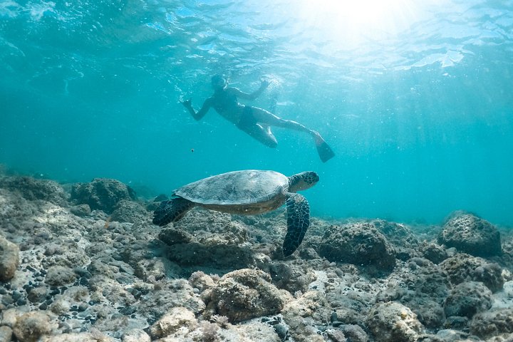 Kayak to the Mokulua Islands, Queen's Bath and Snorkel, Kailua, photo 6 of 10